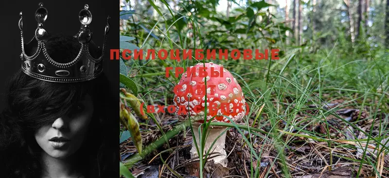 МЕГА онион  Иркутск  Галлюциногенные грибы Cubensis  купить наркотик 